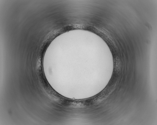 X0000110920502200907301605