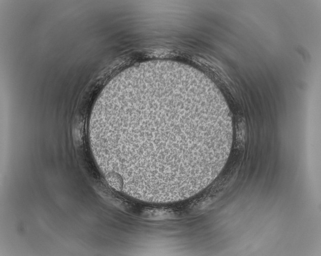 X0000110920503200907301605