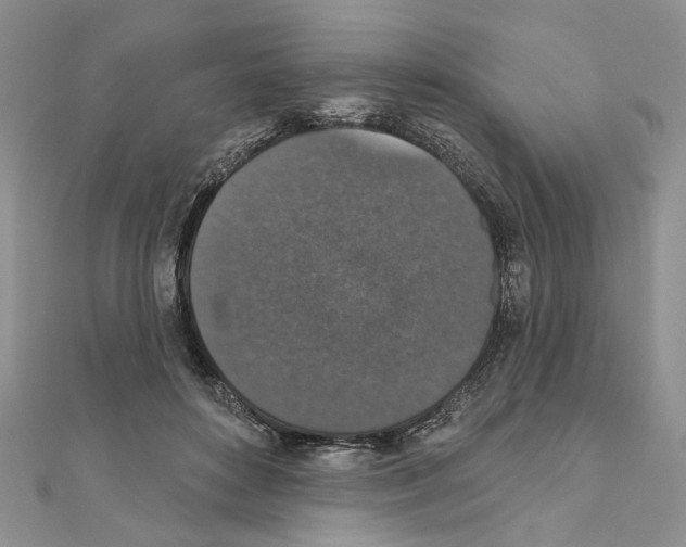 X0000110920504200907301605