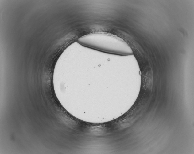 X0000110920505200907301605