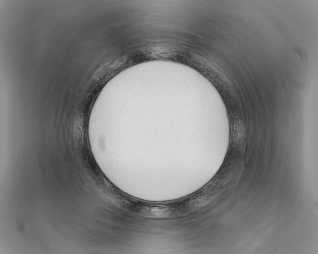 X0000110920506200907301605