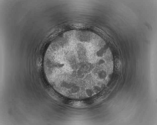 X0000110920507200907301605