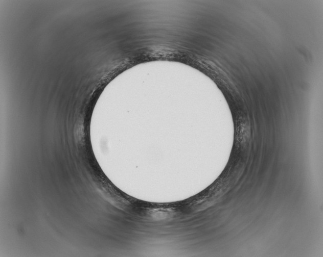 X0000110920508200907301605