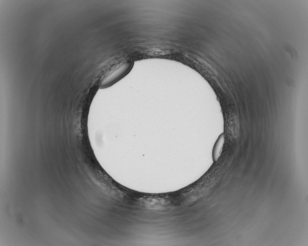 X0000110920512200907301605