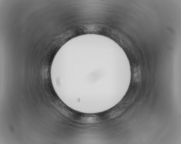 X0000110920514200907301605