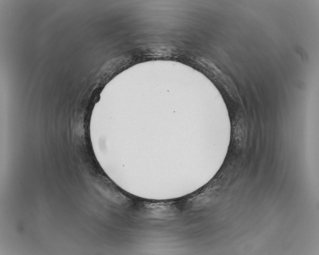 X0000110920516200907301605