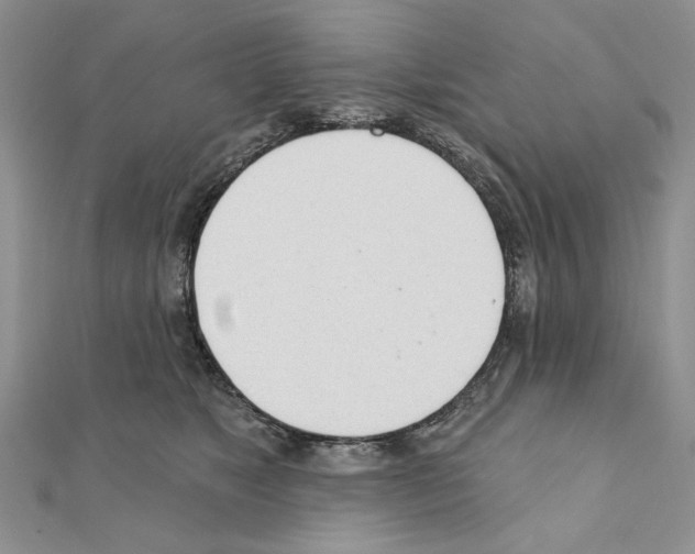 X0000110920517200907301605