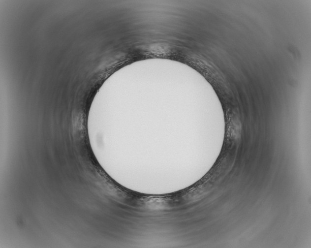 X0000110920518200907301605