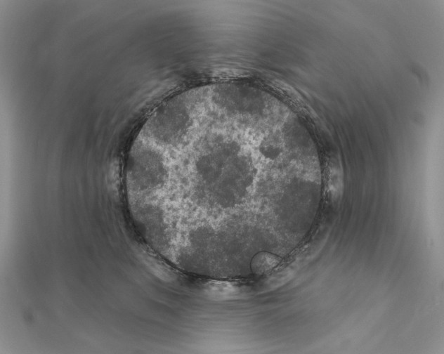 X0000110920519200907301605