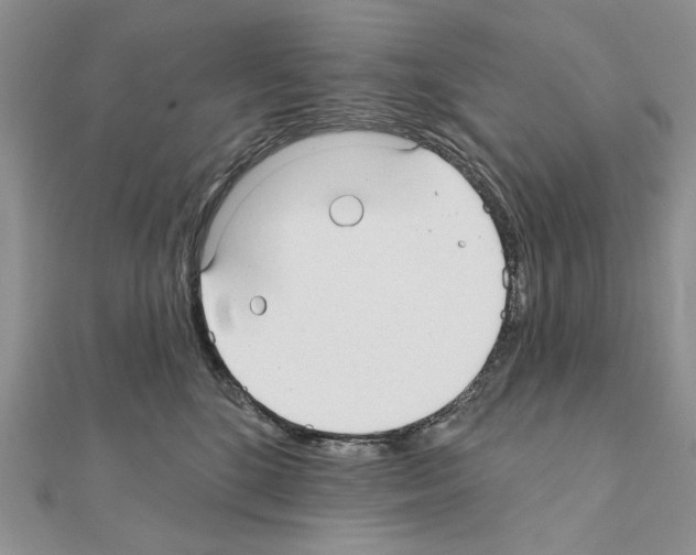 X0000110920520200907301605