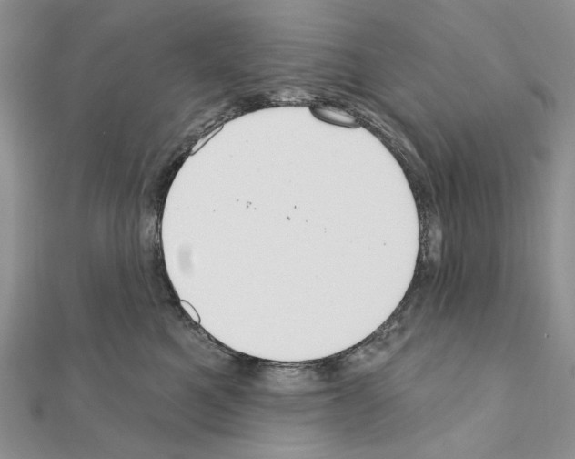 X0000110920521200907301605