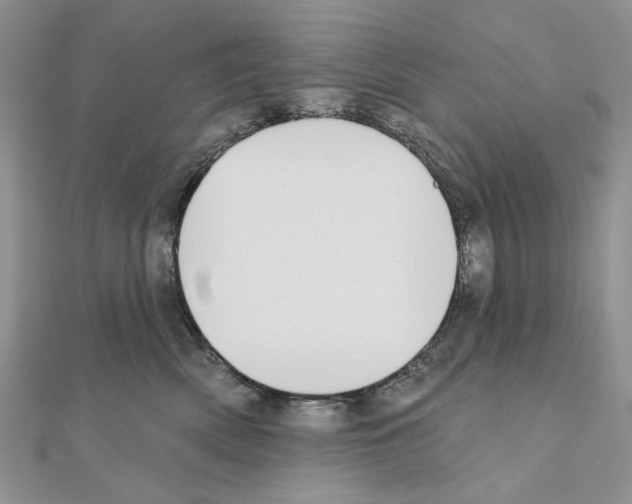 X0000110920522200907301605