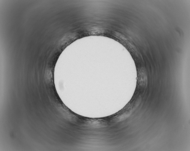 X0000110920523200907301605