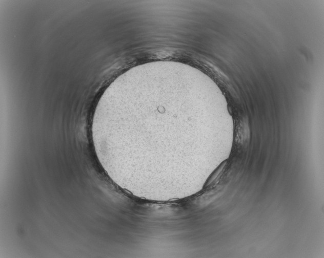 X0000110920524200907301605
