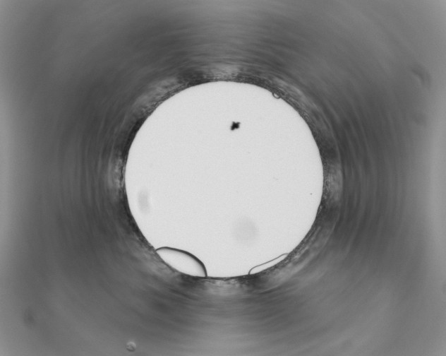 X0000110920525200907301605