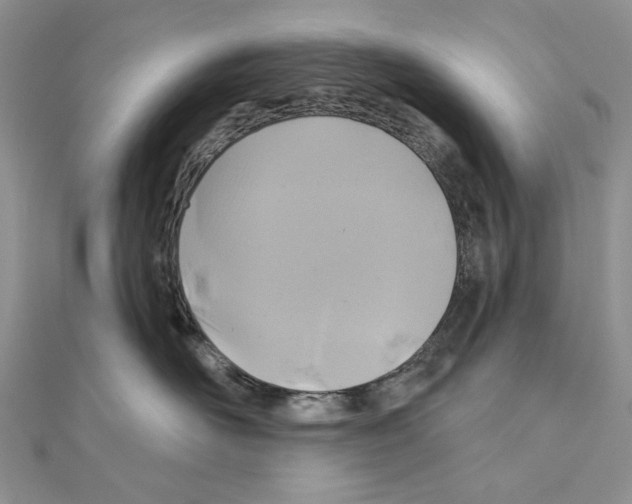 X0000110920526200907301605