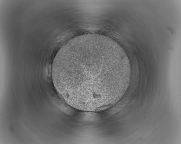 X0000110920528200907301605
