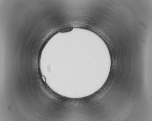 X0000110920530200907301604