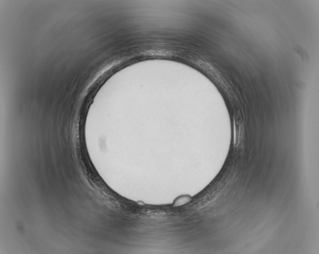 X0000110920531200907301604