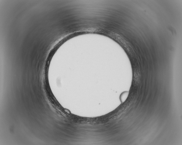 X0000110920532200907301605