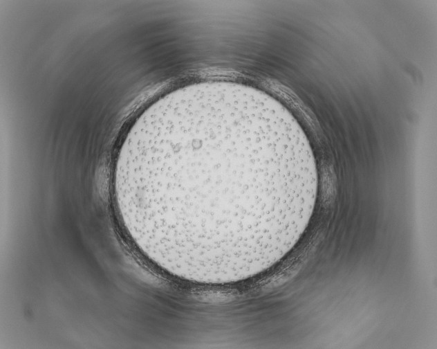 X0000110920533200907301605