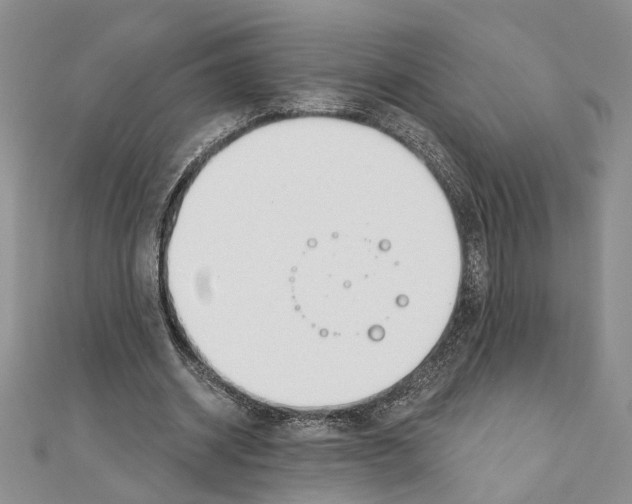 X0000110920534200907301605