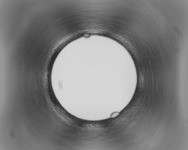 X0000110920535200907301605