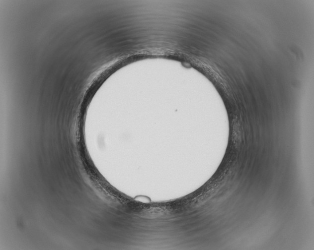 X0000110920536200907301605