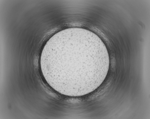X0000110920537200907301605