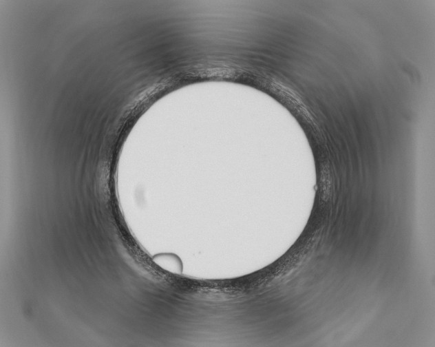 X0000110920538200907301605