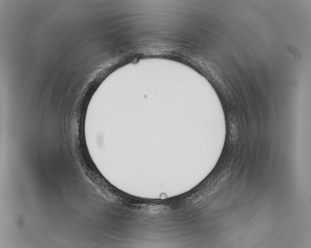 X0000110920539200907301605