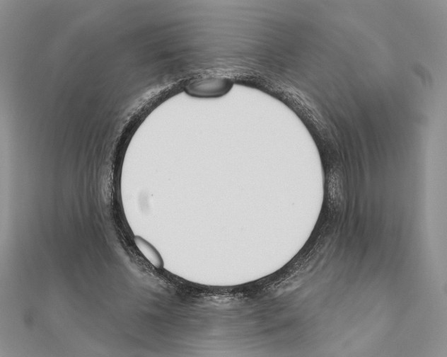 X0000110920540200907301605