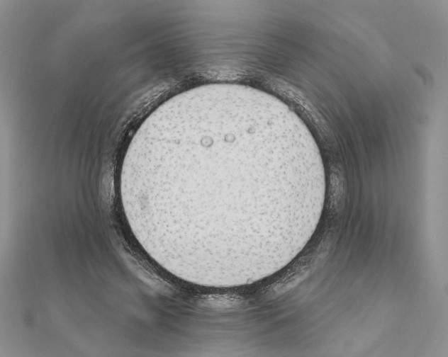 X0000110920541200907301605