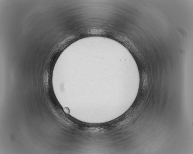 X0000110920542200907301605