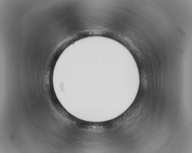 X0000110920543200907301605
