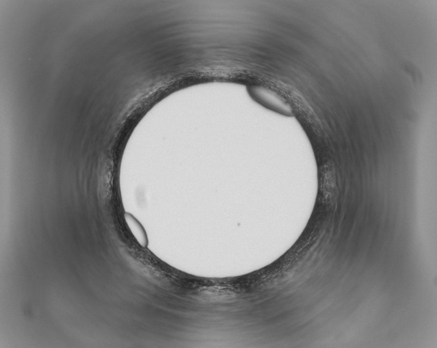 X0000110920544200907301605