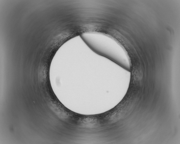 X0000110920546200907301605
