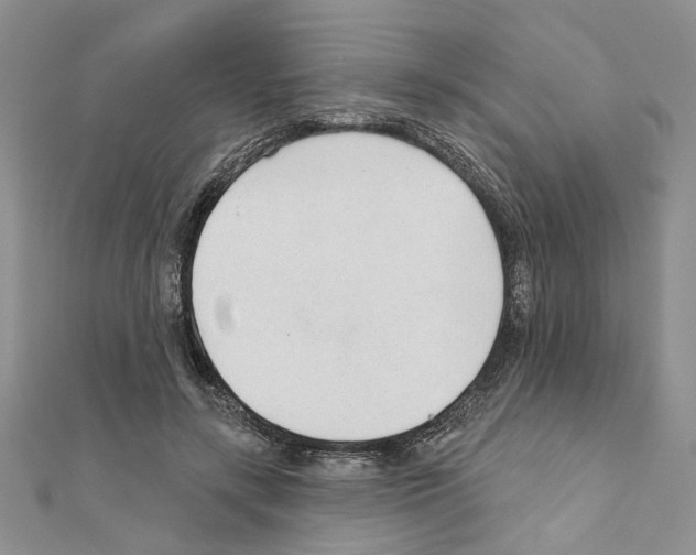 X0000110920547200907301605