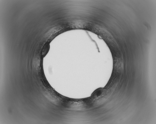 X0000110920548200907301605