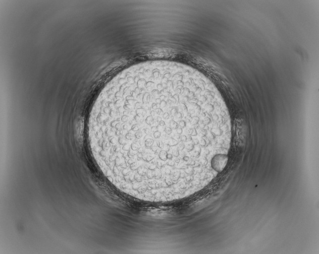 X0000110920550200907301605