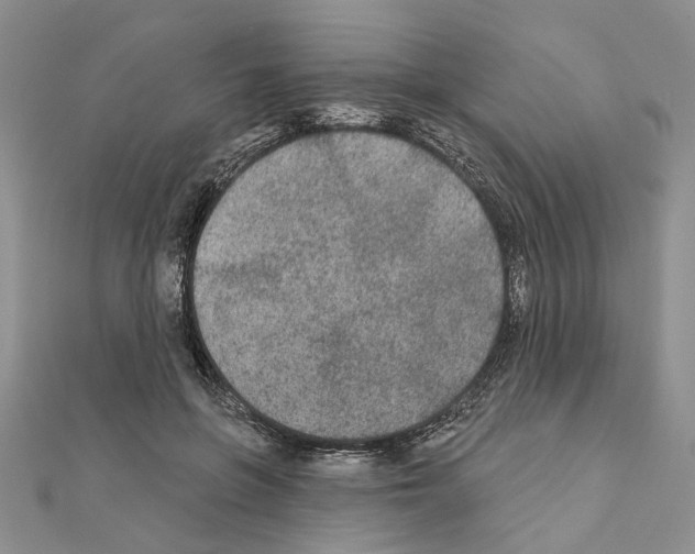 X0000110920551200907301605