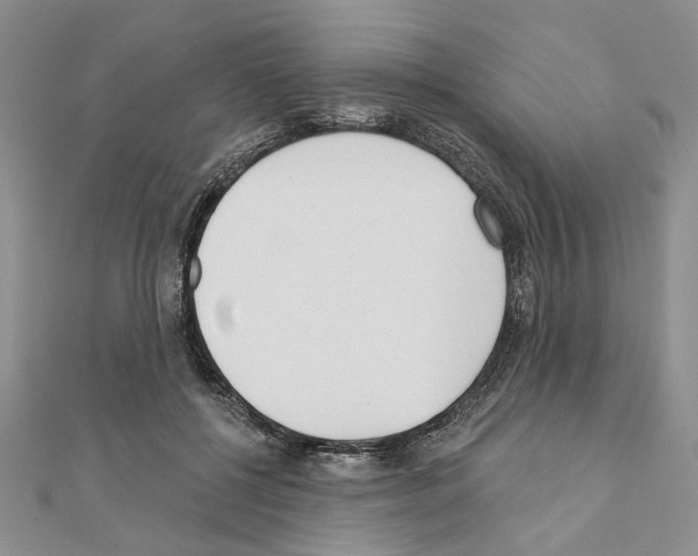 X0000110920552200907301605