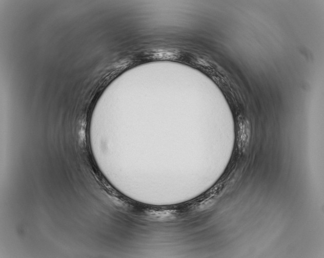 X0000110920553200907301605