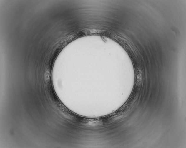 X0000110920555200907301605