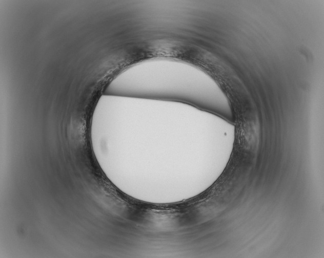 X0000110920556200907301605