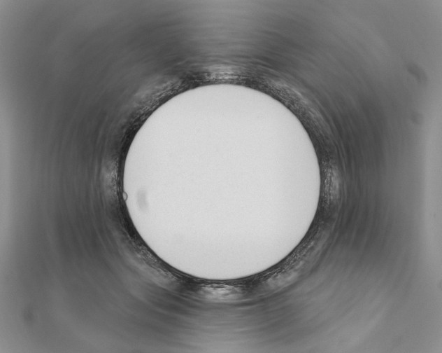 X0000110920557200907301605