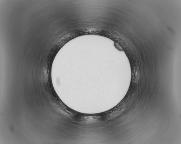 X0000110920558200907301605