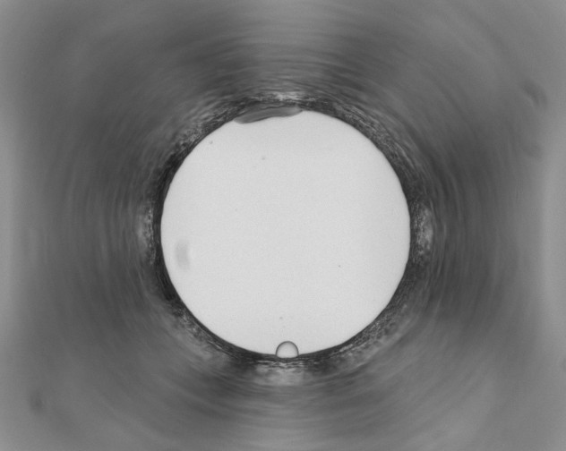 X0000110920559200907301605