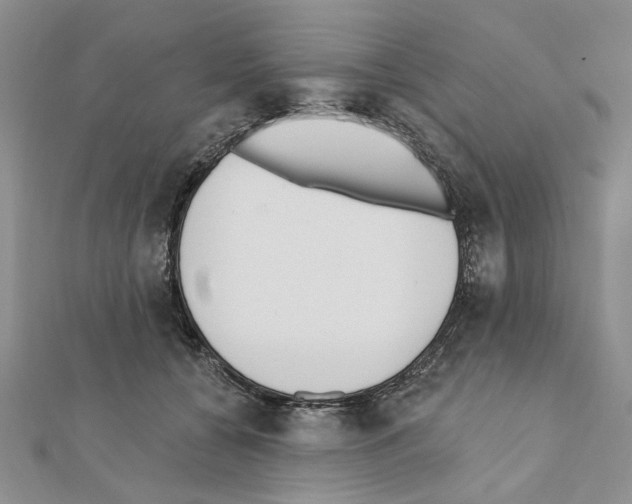 X0000110920560200907301605