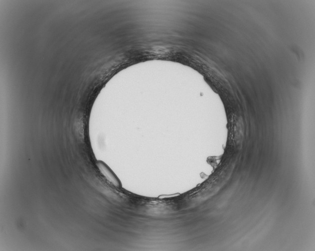 X0000110920562200907301605